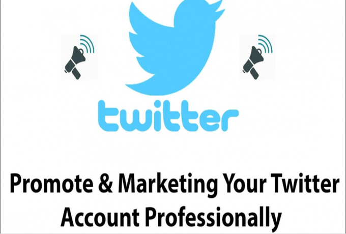 i-will-be-your-social-media-manager-twitter-nft-marketing-with-ads
